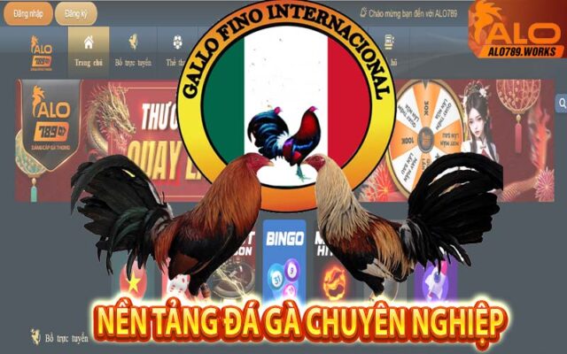 Nền tảng đá gà chuyên nghiệp với các trận đấu hấp dẫn