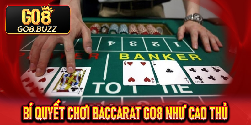 Bí quyết chơi Baccarat Go8 như cao thủ