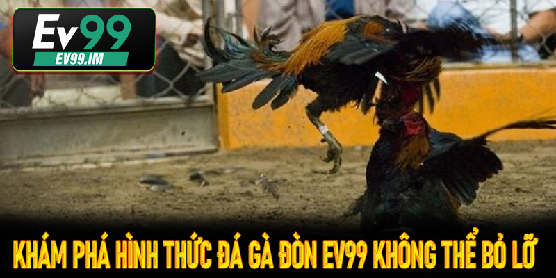 Khám phá hình thức đá gà đòn Ev99 không thể bỏ lỡ