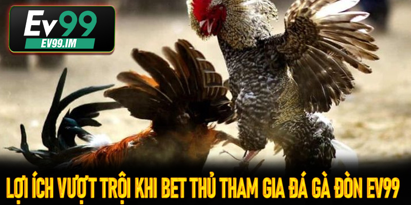 Lợi ích vượt trội khi bet thủ tham gia đá gà đòn Ev99