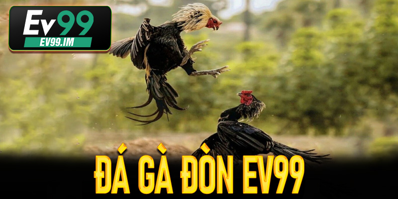 Đá Gà Đòn Ev99